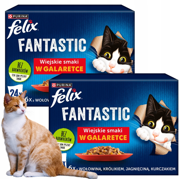 Projekt bez nazwy - 2024-10-03T115455.538.png