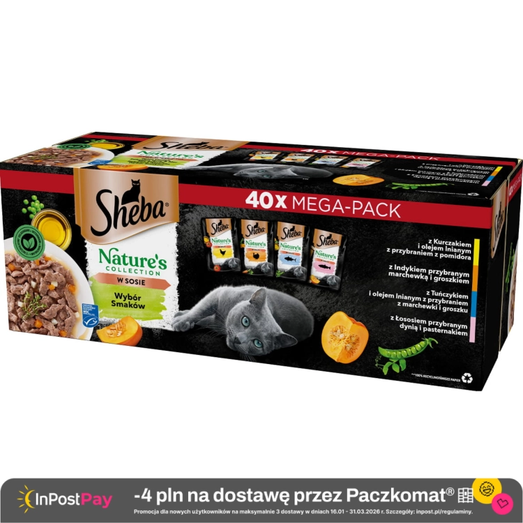 Projekt bez nazwy - 2024-12-18T112308.062.webp