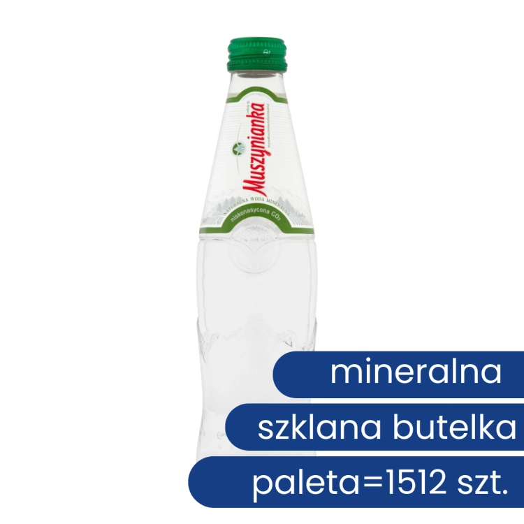 muszynianka-zdroj-naturalna-woda-mineralna-wysokozmineralizowana-niskonasycona-co2-0,3l-1512-sztuk-paleta-5901520000141.png