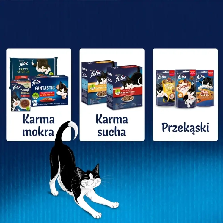 felix-fantastic-karma-dla-kotow-wiejskie-smaki-w-galaretce-12-85g-7613039758021.webp
