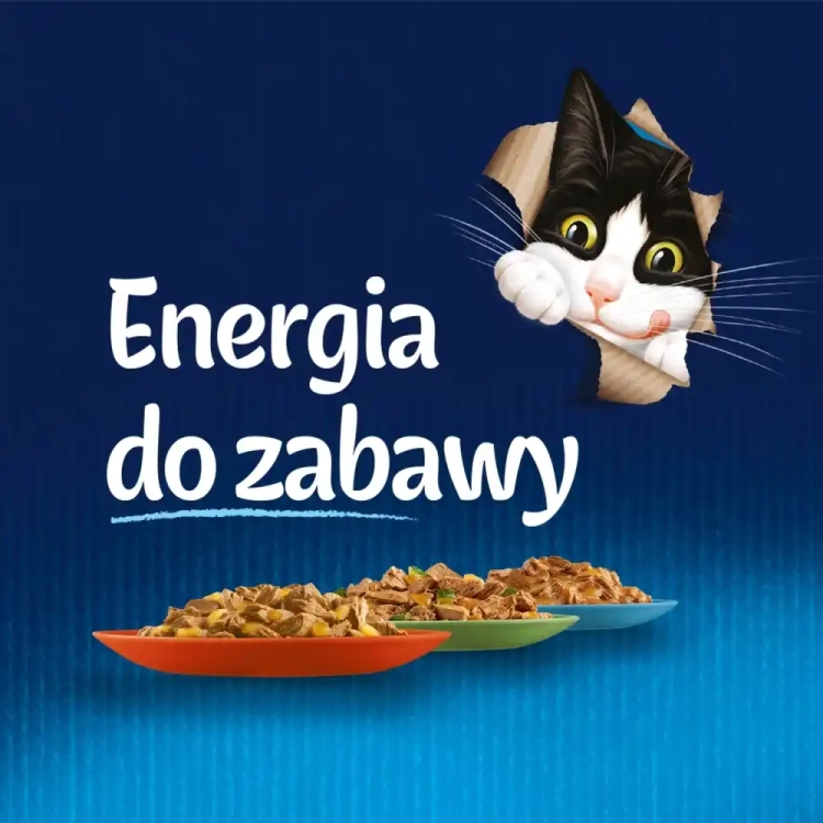 felix-fantastic-karma-dla-kotow-wiejskie-smaki-w-galaretce-12-85g-7613039758021.webp