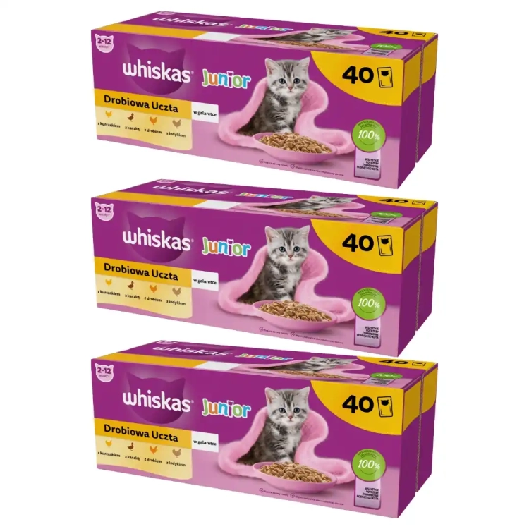 whiskas-junior-drobiowa-uczta-karma-dla-kociat-w-galaretce-85g-120-sztuk-4008429164781.webp