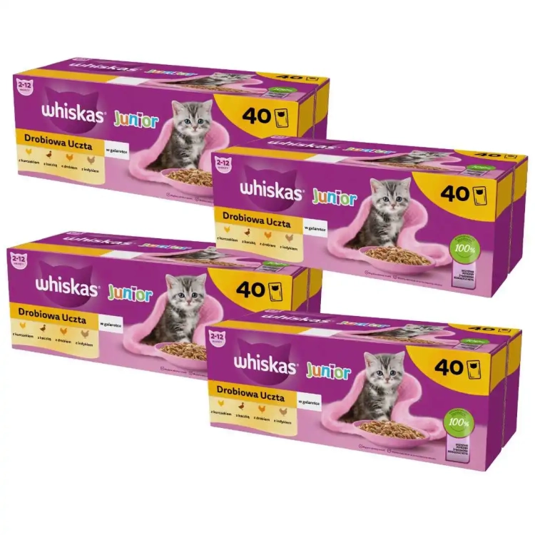 whiskas-junior-drobiowa-uczta-karma-dla-kociat-w-galaretce-85g-160-sztuk-4008429164781.webp