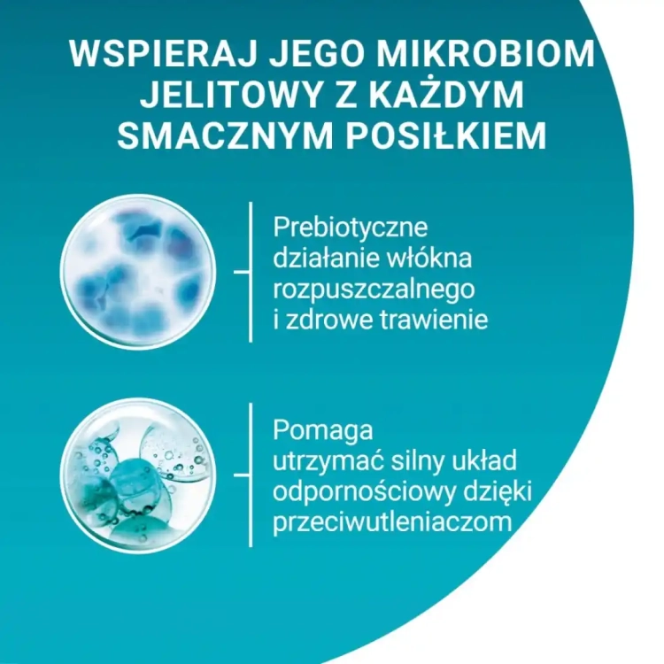 purina-one-sterilcat-akrma-dla-doroslych-kotow-40-85g-7613287903846.webp