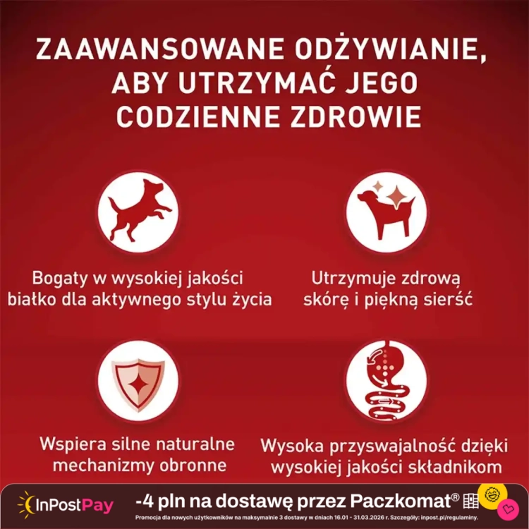 Purina-One-Mini-Delicate-Sucha-Karma-dla-psow-z-lososiem-i-ryzem-800-g.webp