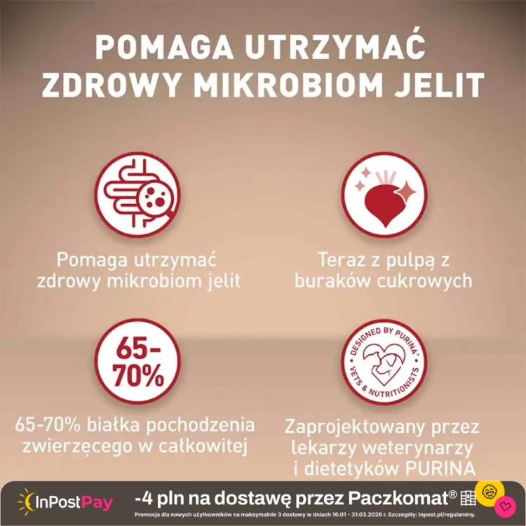 Purina-One-Mini-Active-Sucha-karma-dla-psow-z-kurczakiem-i-ryzem-800-g.webp