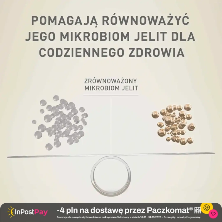 Purina-One-Mini-Active-Sucha-karma-dla-psow-z-kurczakiem-i-ryzem-800-g.webp