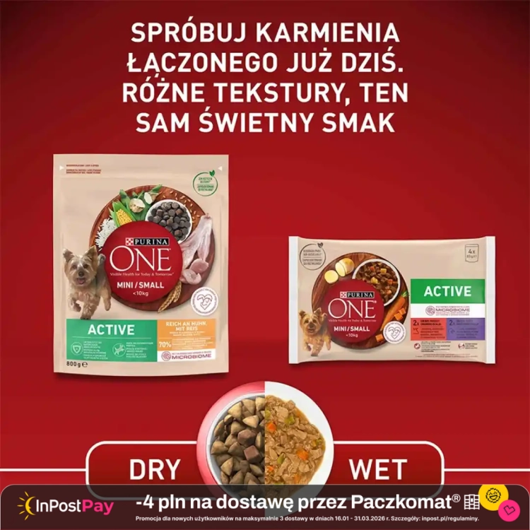Purina-One-Mini-Active-Sucha-karma-dla-psow-z-kurczakiem-i-ryzem-800-g.webp