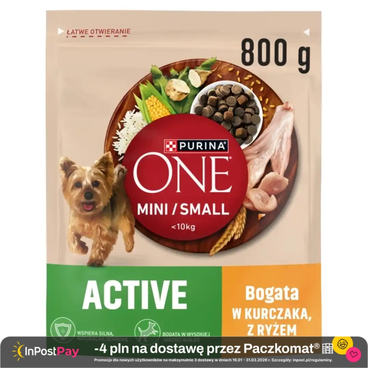 Purina-One-Mini-Active-Sucha-karma-dla-psow-z-kurczakiem-i-ryzem-800-g .webp