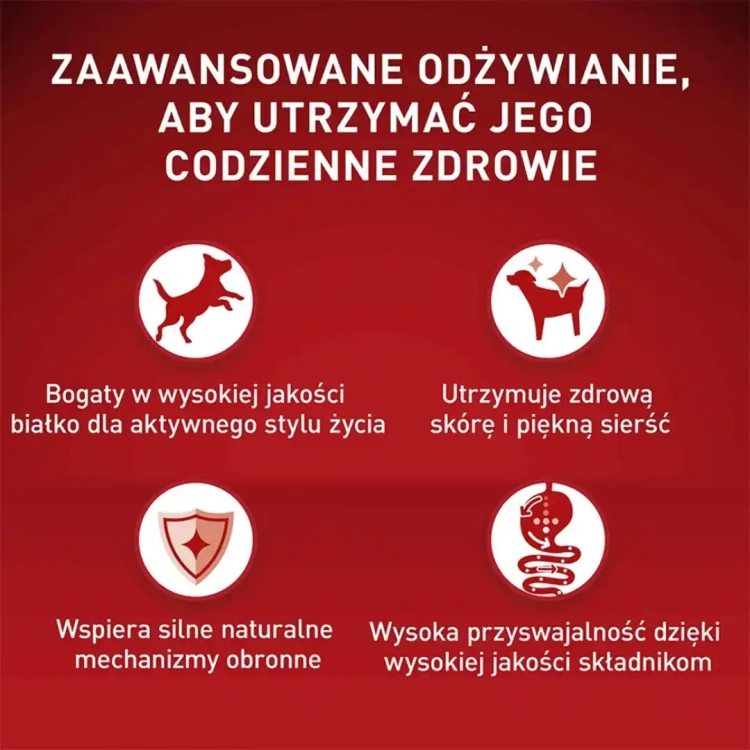 Purina-One-Mini-Adult-Sucha-Karma-dla-psow-z-wolowina-i-ryzem-800-g.webp