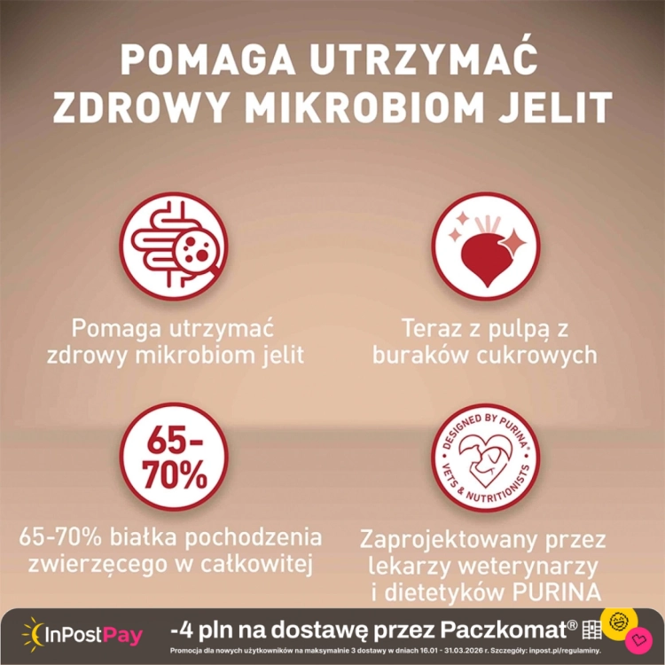 Purina-One-Mini-Adult-Sucha-Karma-dla-psow-z-wolowina-i-ryzem-800-g.webp