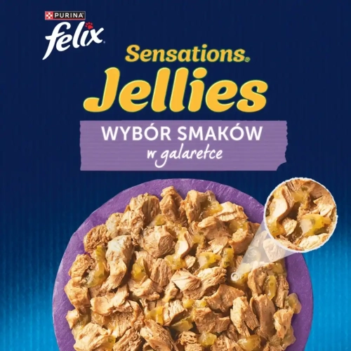 felix-sensations-jellies-karma-dla-kotow-wybor-smakow-w-galaretce-1,02kg-7613039757062.webp