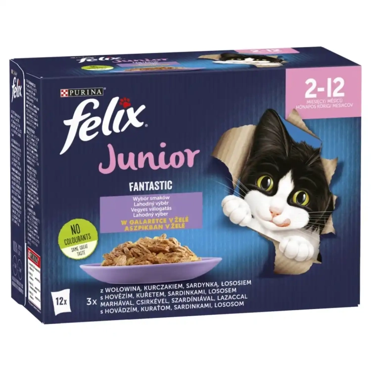 felix-fantastic-junior-karma-dla-kociat-wybor-smakow-w-galaretce-1,02kg-7613039776810.webp