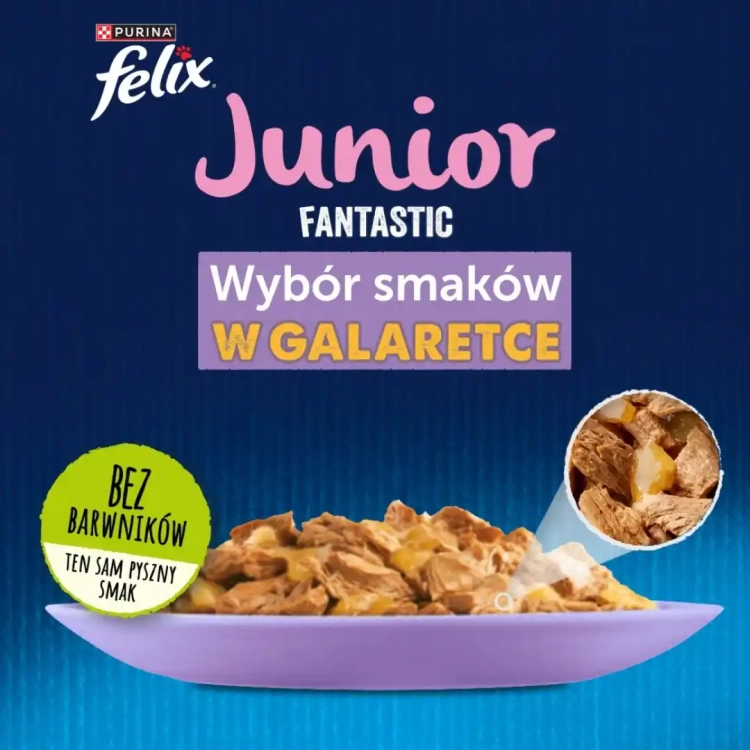 felix-fantastic-junior-karma-dla-kociat-wybor-smakow-w-galaretce-1,02kg-7613039776810.webp