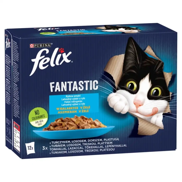 felix-fantastic-karma-dla-kotow-rybne-smaki-w-galaretce-1kg-7613039743041.webp