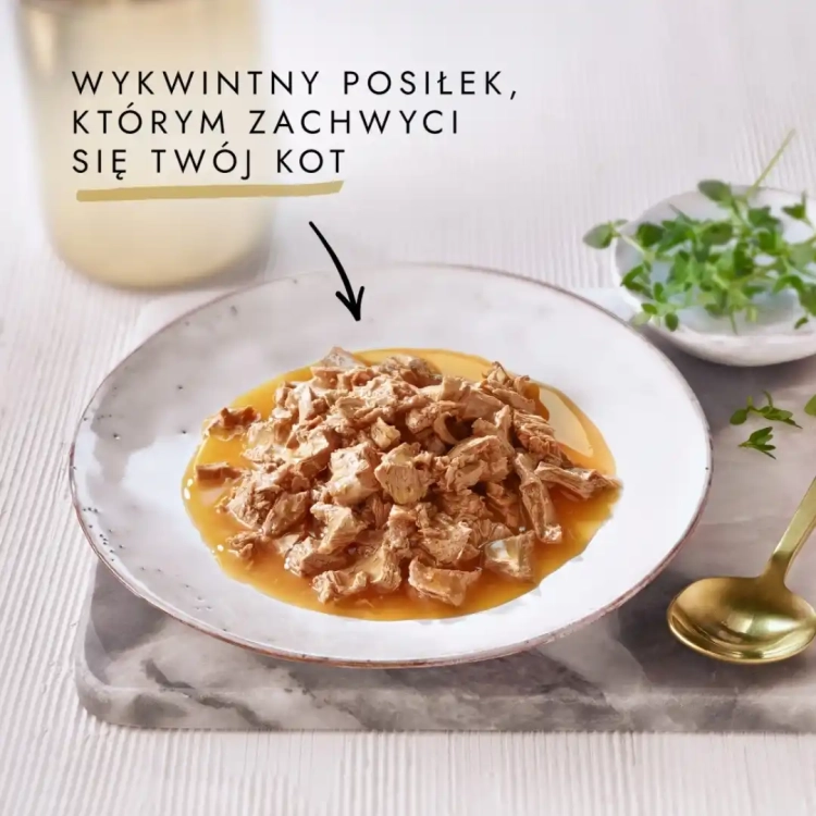 purina-gourmet-gold-sauce-delight-mokra-karma-dla-kotow-z-kurczakiem-85g-8445290502599.webp
