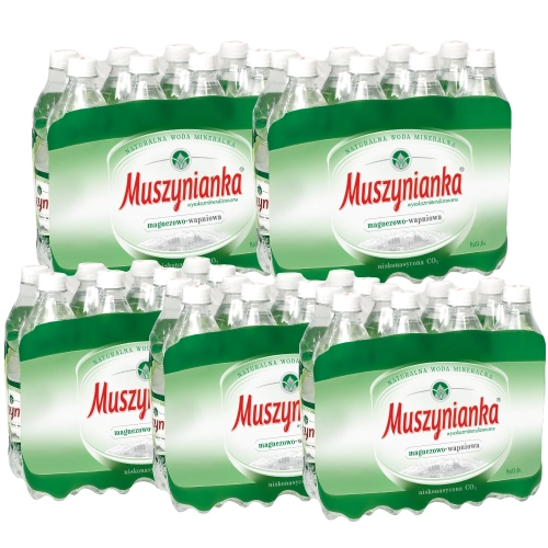 muszynianka-plus-naturalna-woda-mineralna-wysokozmineralizowana-nieskonasycona-co2-0,6l-40-sztuk-5901520000400.webp