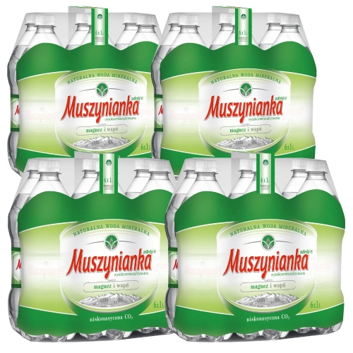 muszynianka-zdroj-naturalna-woda-mineralna-wysokozmineralizowana-niskonasycona-co2-1l-24-sztuki-5901520000424.webp