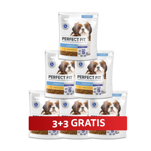 6szt_ 4008429092442_szarfa_3+3GRATIS.png