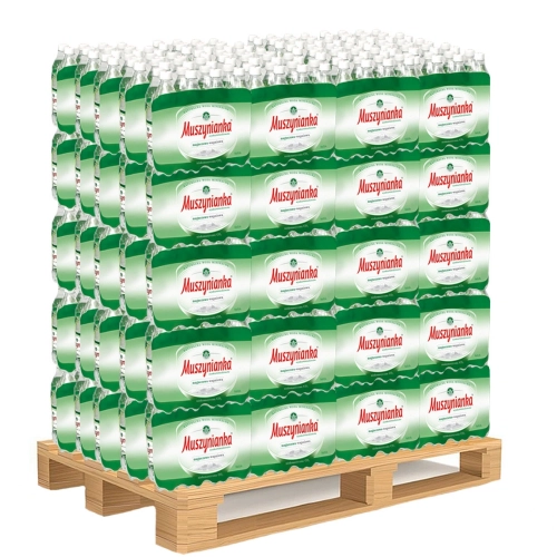 muszynianka-plus-naturalna-woda-mineralna-wysokozmineralizowana-nieskonasycona-co2-0,6l-1080-sztuk-5901520000400.webp