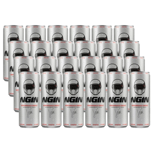 ngin-gazowany-napoj-energetyzujacy-250ml-24-sztuki-5901861004792.webp