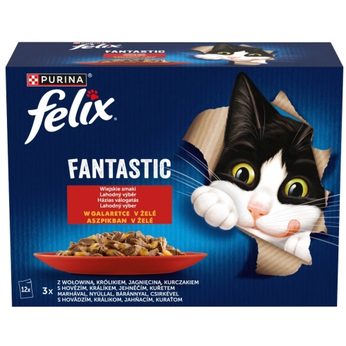 felix-fantastic-karma-dla-kotow-wiejskie-smaki-w-galaretce-12-85g--7613039758021.webp